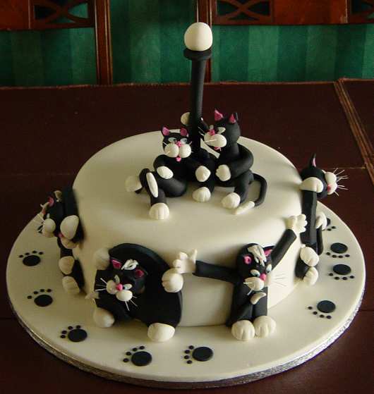 Cat Cake